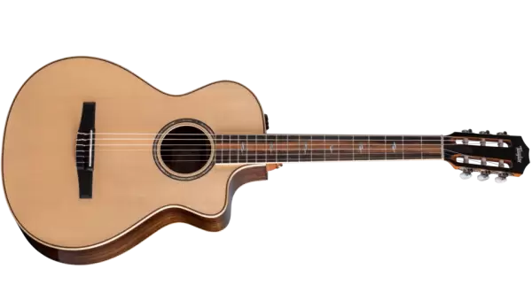 Taylor 812ce-N Indian Rosewood