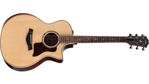 Taylor 814ce Indian Rosewood