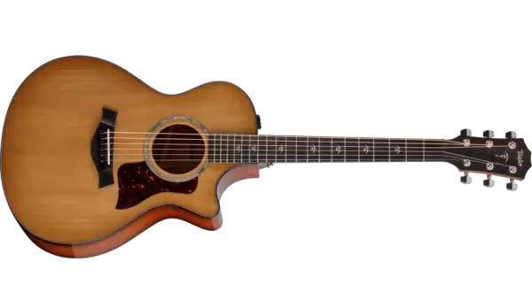 Taylor 512ce Torrefied Spruce