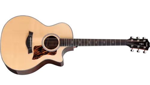 Taylor-414ce-2026