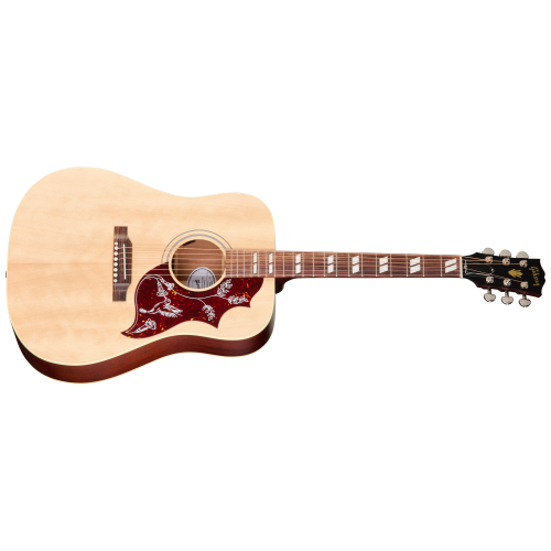 Hummingbird Special Nat